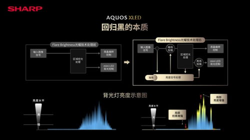 沉浸式全面屏旗艦 夏普AQUOS XLED新品4K電視發布，售價16999元開啟視聽新紀元